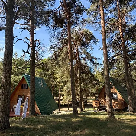 Przystan Kownatki Kozlowo (Nidzica)